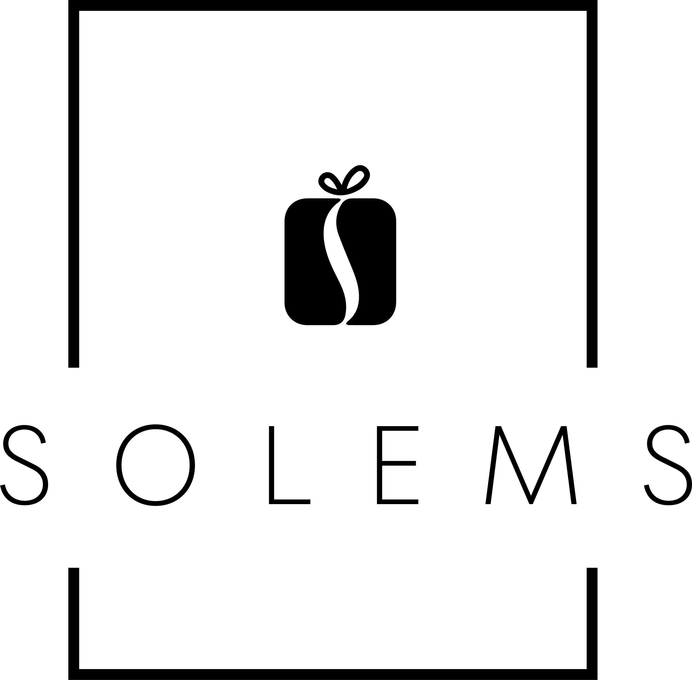 Solems logo